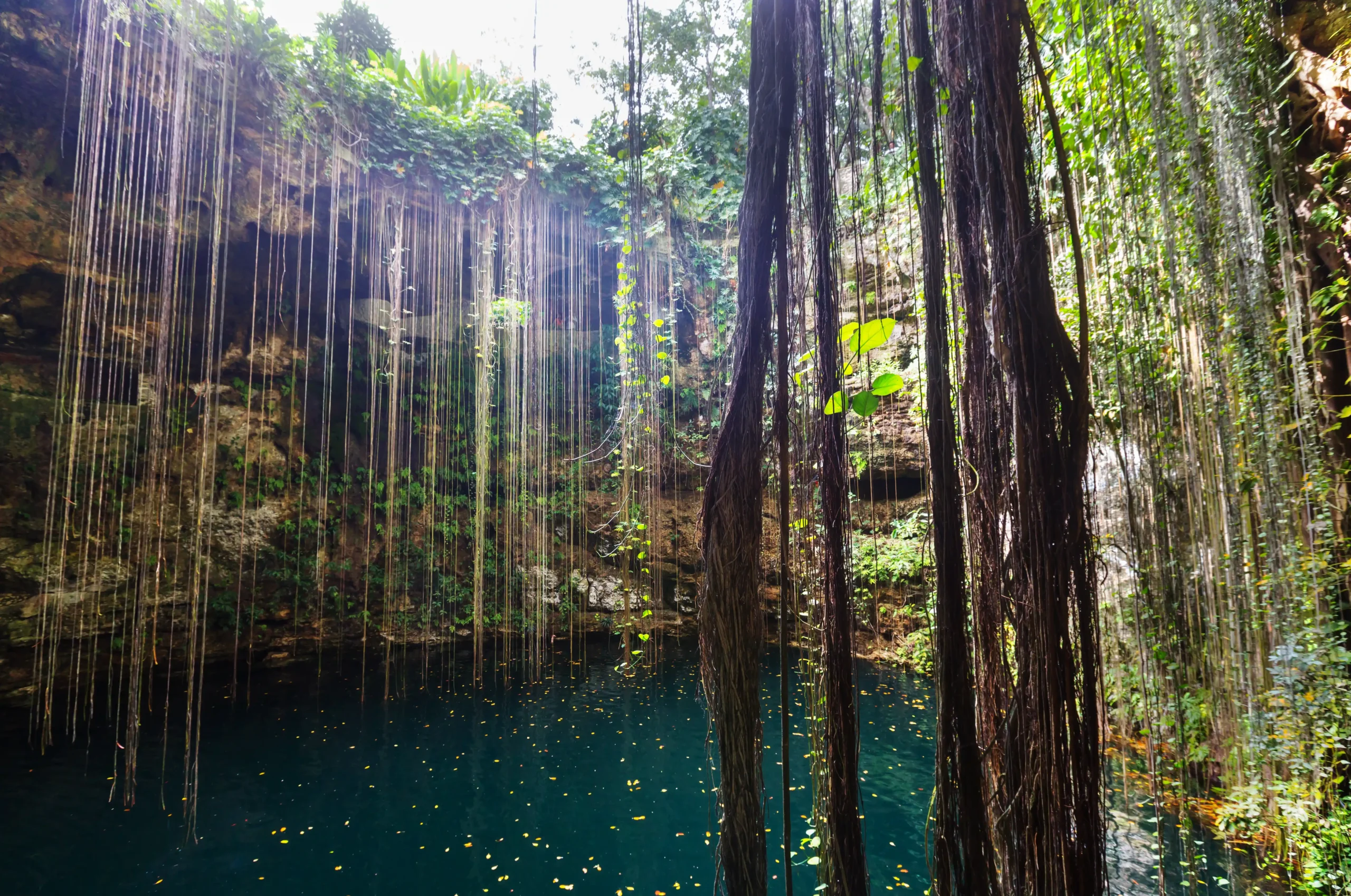 cenote