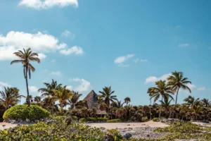 Akumal