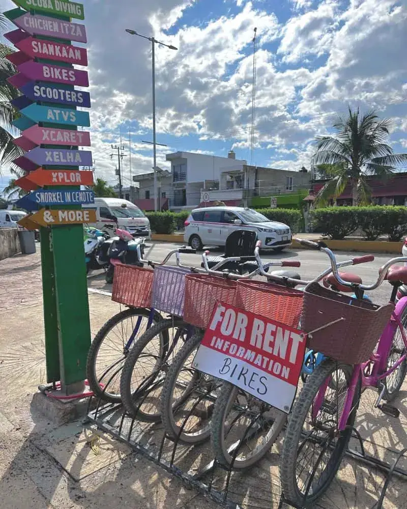 Scooter o Bicicleta