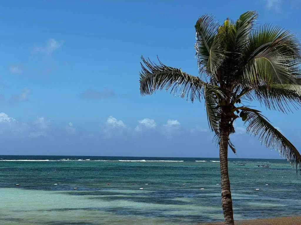 playa akumal