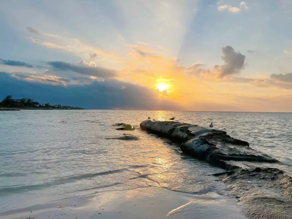 holbox sunset spot.jpg